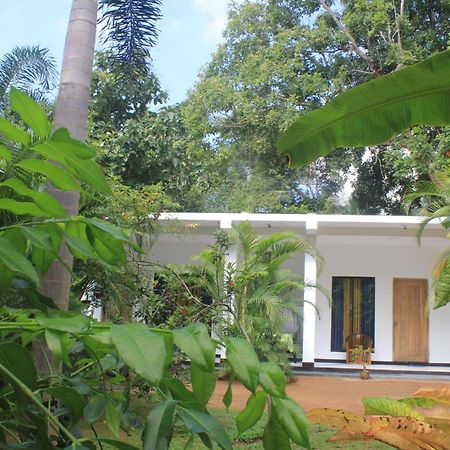 Sigiriya Mana B&B Экстерьер фото