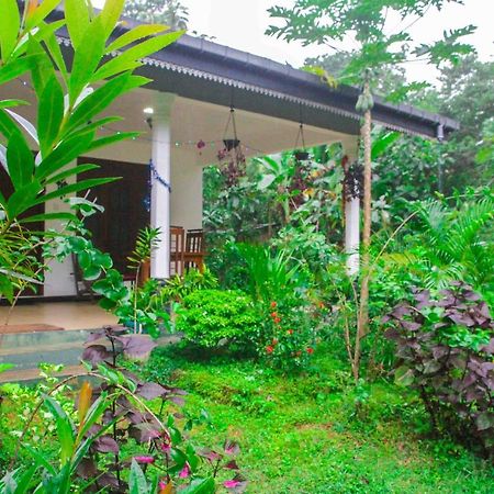 Sigiriya Mana B&B Экстерьер фото