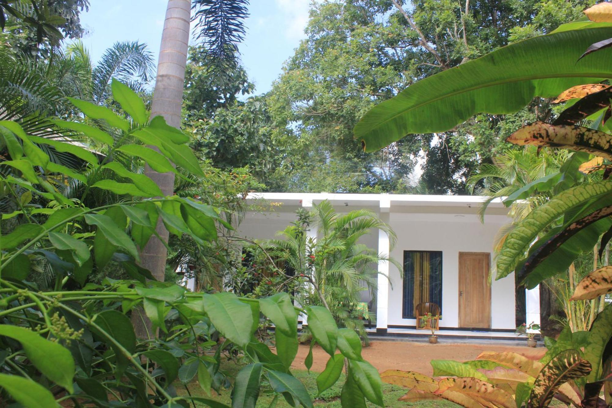 Sigiriya Mana B&B Экстерьер фото