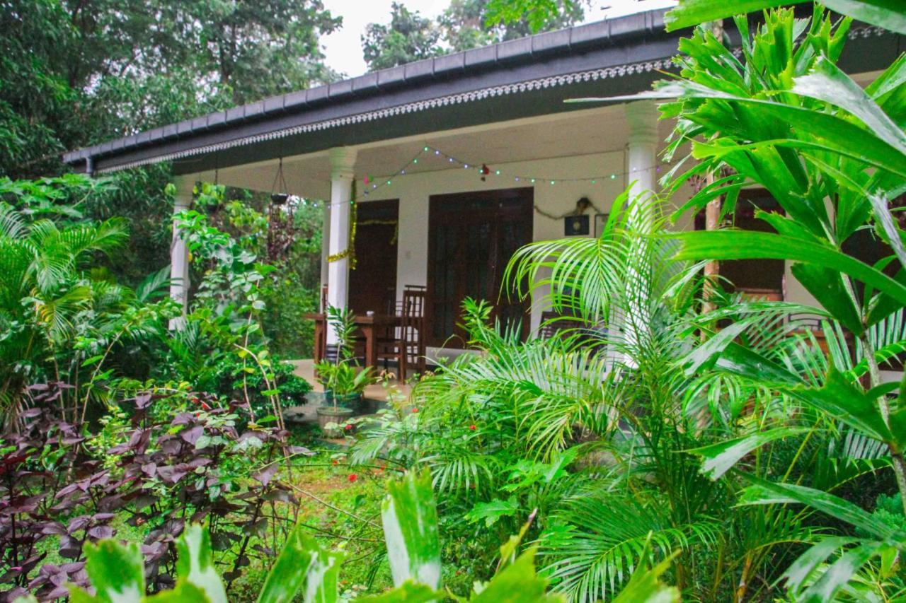 Sigiriya Mana B&B Экстерьер фото