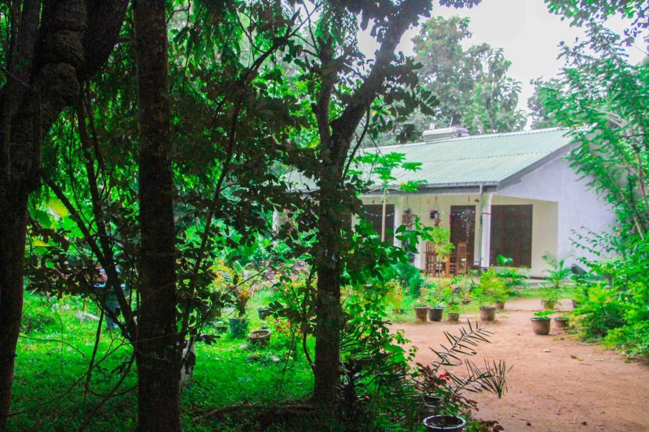 Sigiriya Mana B&B Экстерьер фото