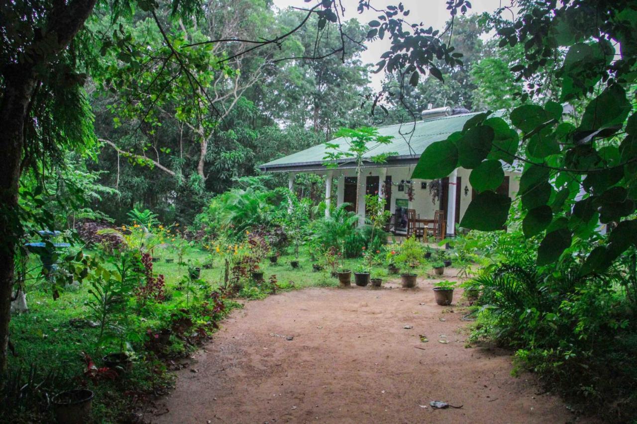 Sigiriya Mana B&B Экстерьер фото