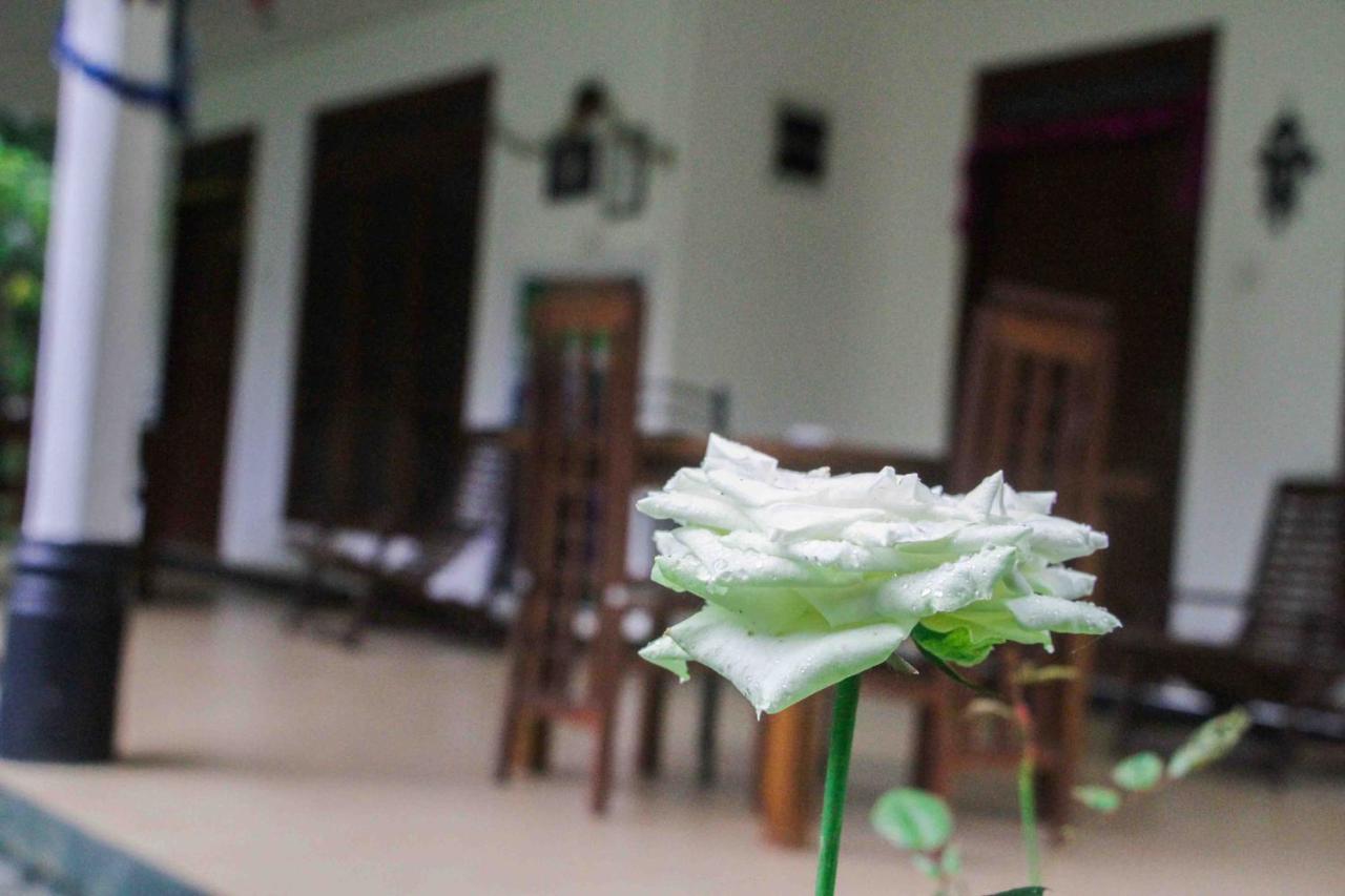 Sigiriya Mana B&B Экстерьер фото