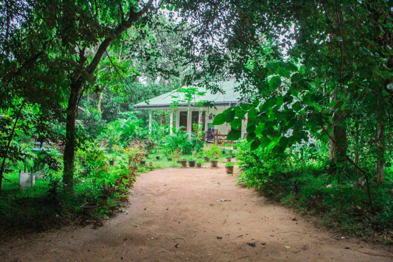 Sigiriya Mana B&B Экстерьер фото