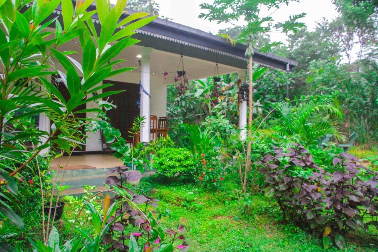 Sigiriya Mana B&B Экстерьер фото