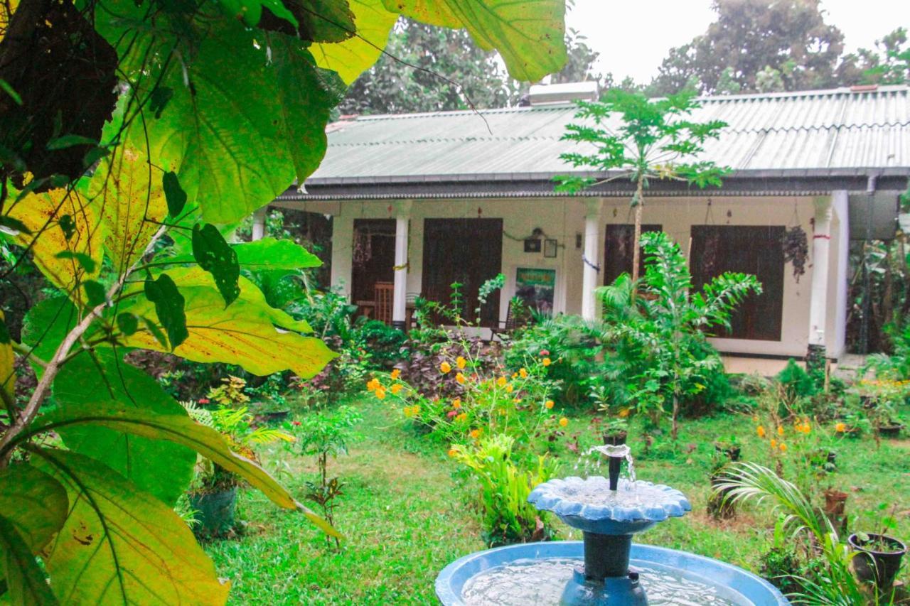 Sigiriya Mana B&B Экстерьер фото